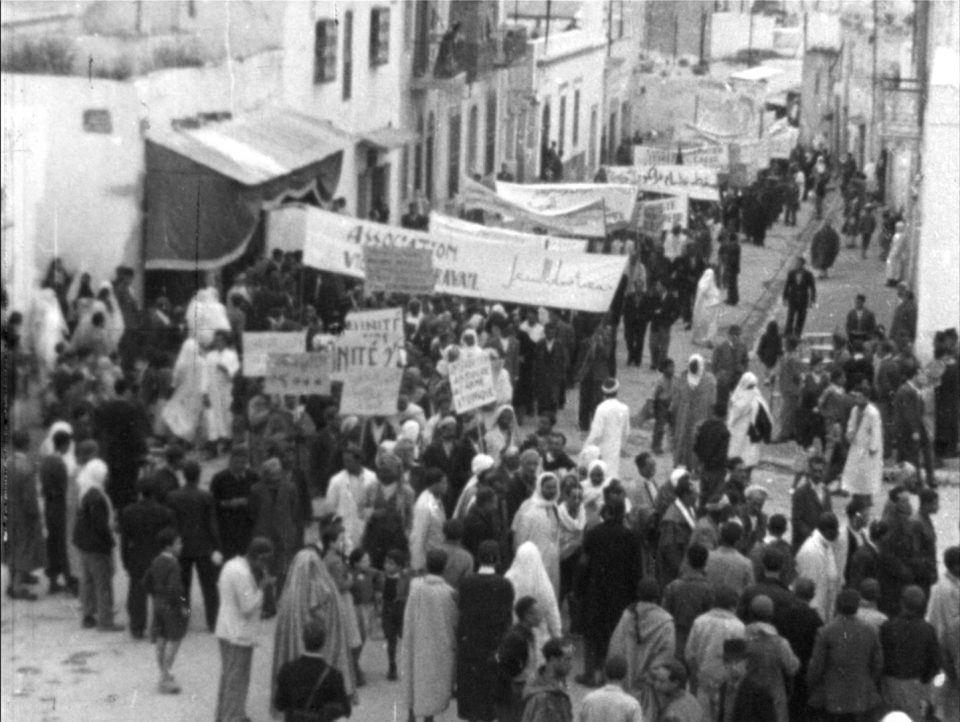 105 terretunisienne2.jpg