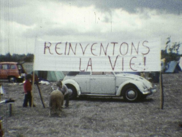 fernex 0131fi0006 1 v2.jpeg